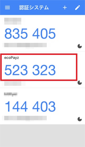 google認証システム(ecopayz)